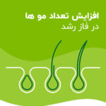 قرص پریورین مکمل مو - تصویر 3